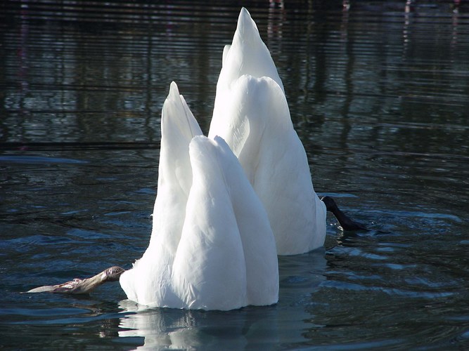Spitzbergen läßt grüssen