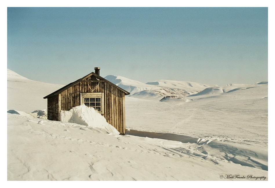 Spitzbergen lebt!