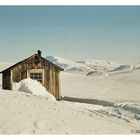 Spitzbergen lebt!