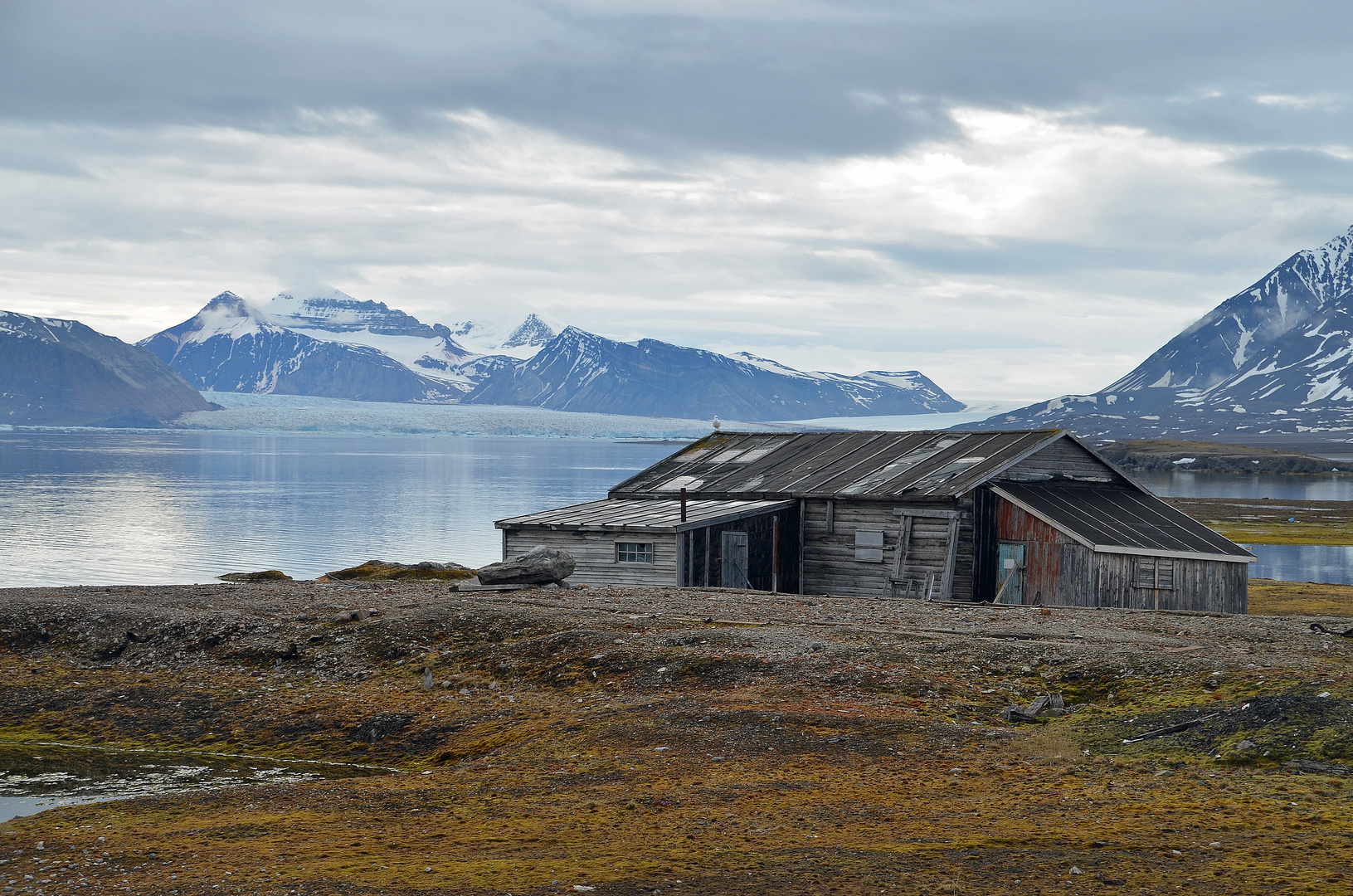 Spitzbergen, Ny Alesund