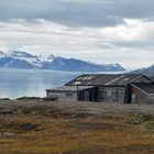 Spitzbergen, Ny Alesund