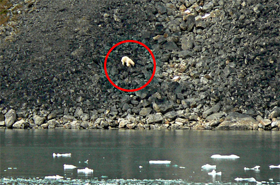 Spitzbergen13 - das Objekt der Begierde