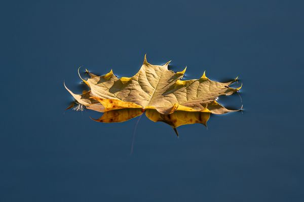 Spitzen in die Höh´