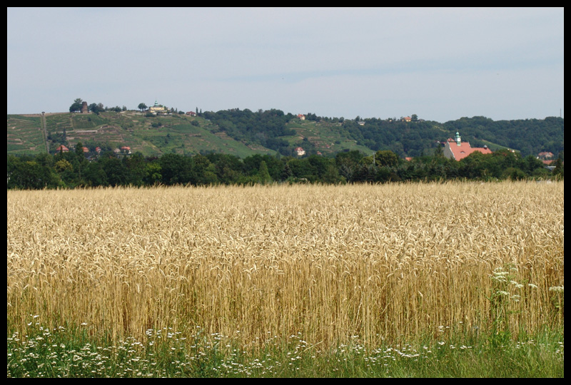 Spitzhaus - Radebeul