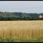 Spitzhaus - Radebeul