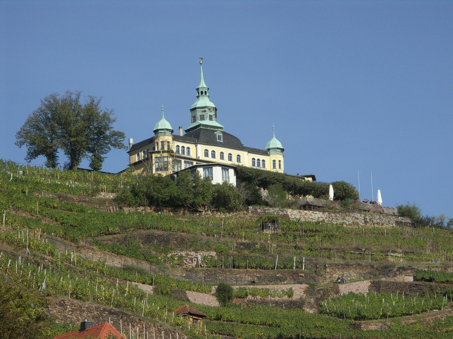 Spitzhaus Radebeul