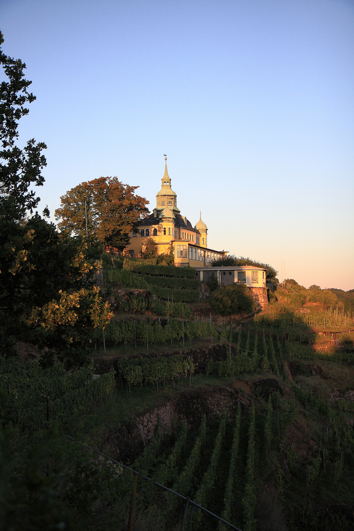 Spitzhaus Radebeul