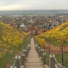 Spitzhaustreppe in den Radebeuler Weinbergen