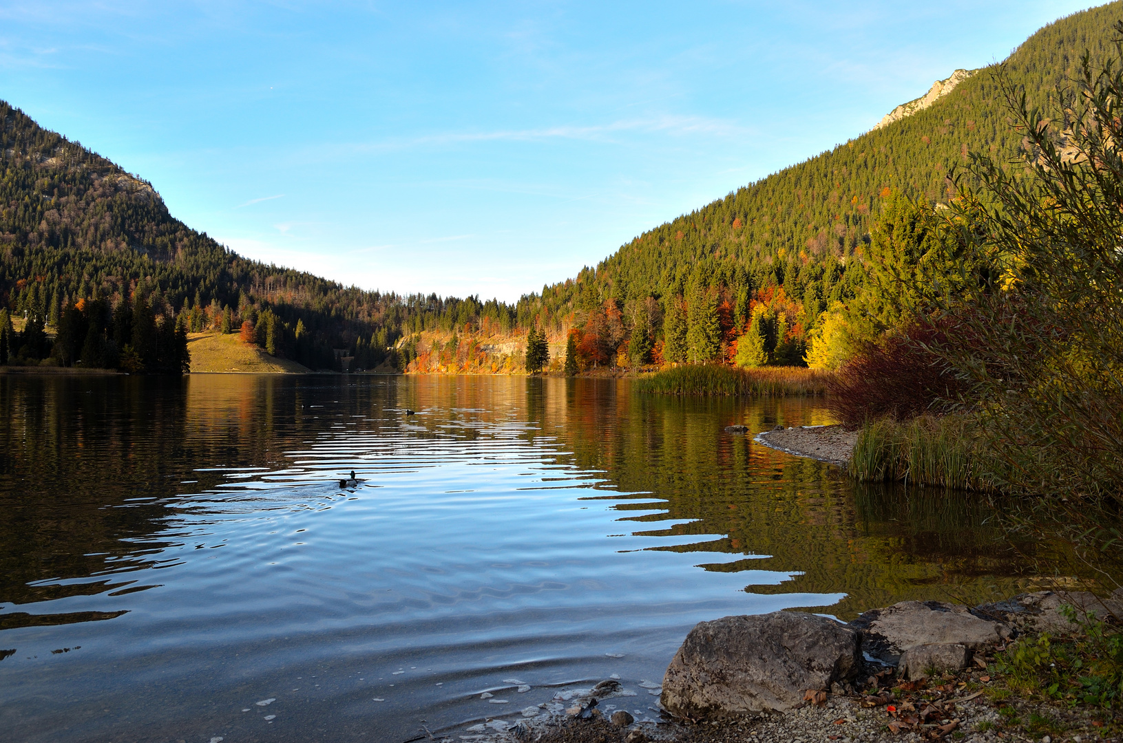 Spitzingsee