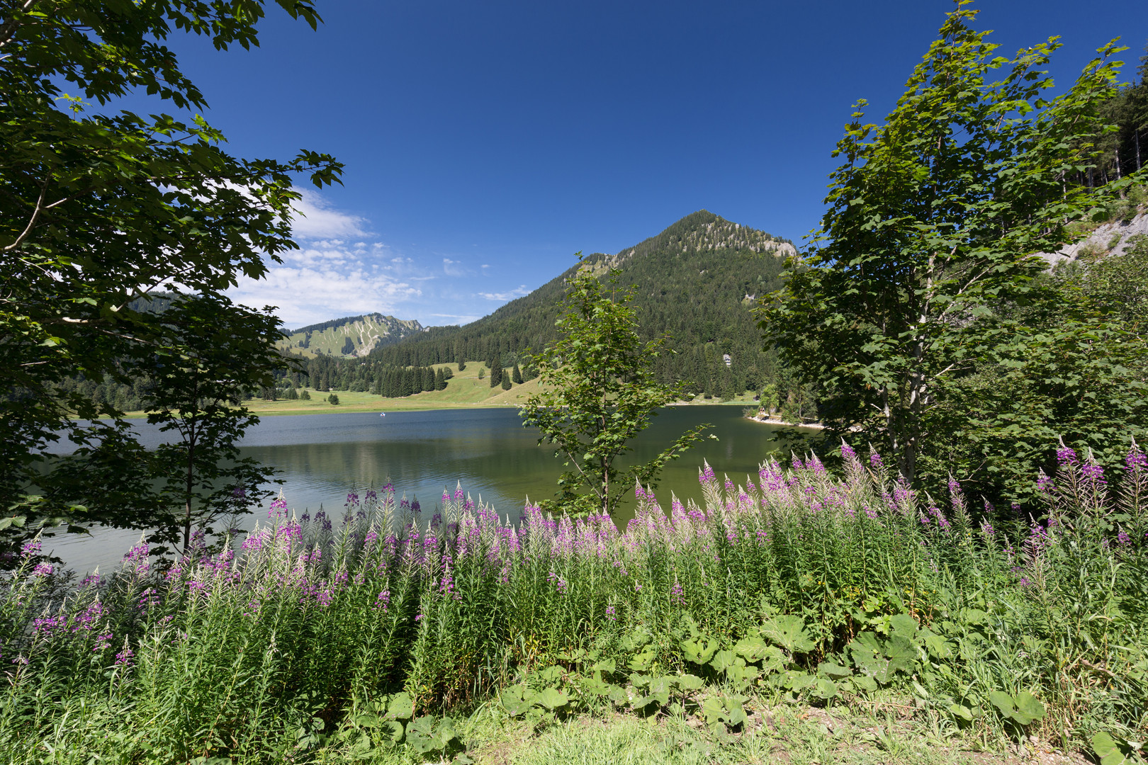 SPITZINGSEE