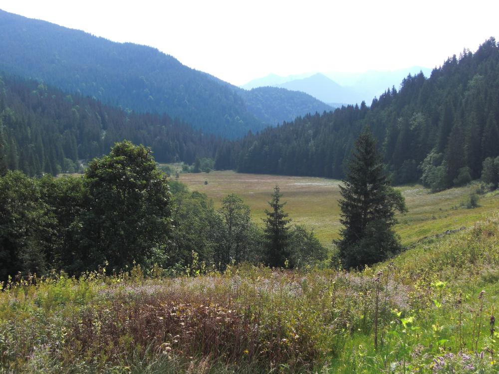 Spitzingsee Landschaft