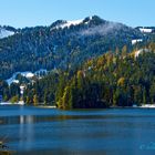 Spitzingsee m.Wald