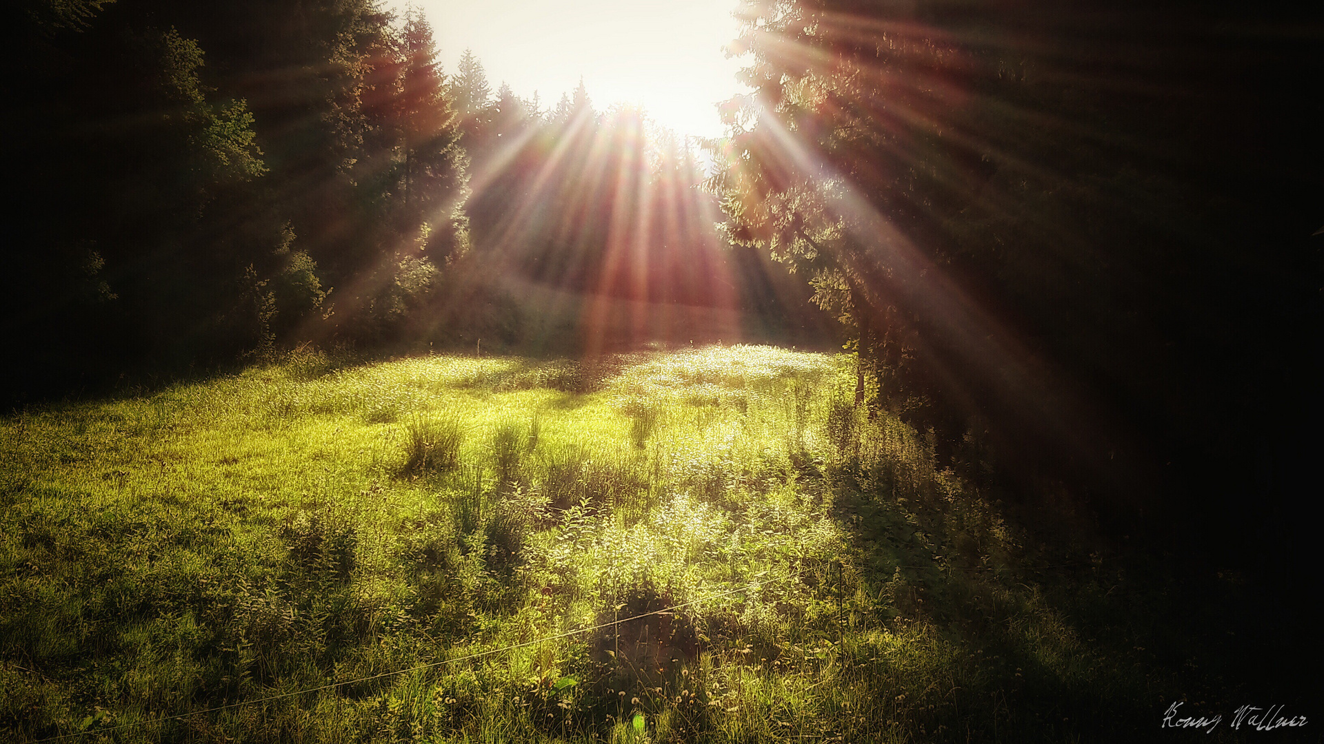 Spitzingsee Sunrays