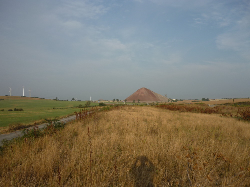 Spitzkegelhalde im Südharz / Mansfeld