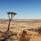 Spitzkoppe