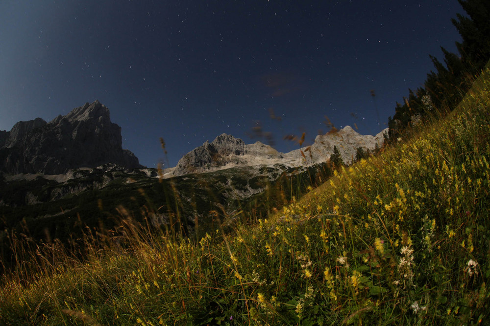 Spitzmauer - Brotfall - Gr. Priel