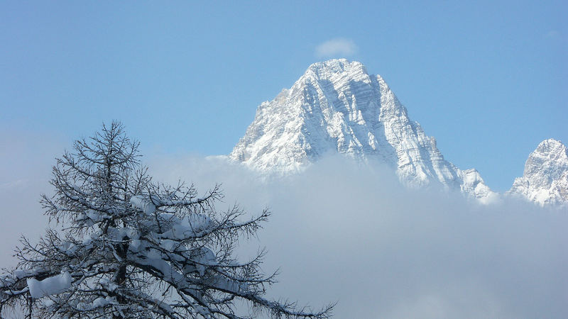 Spitzmauer im Nebel