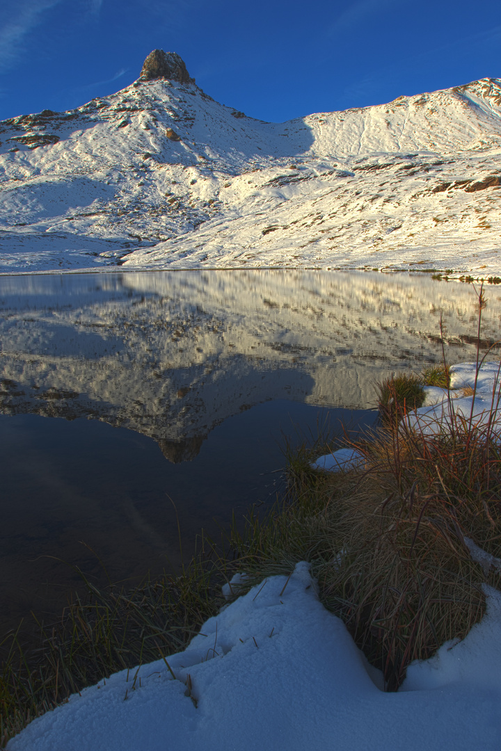 Spitzmeile am Morgen