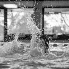 Splash! (006/365)