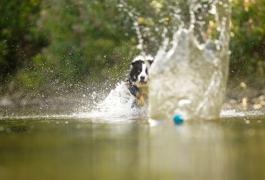 *Splash*