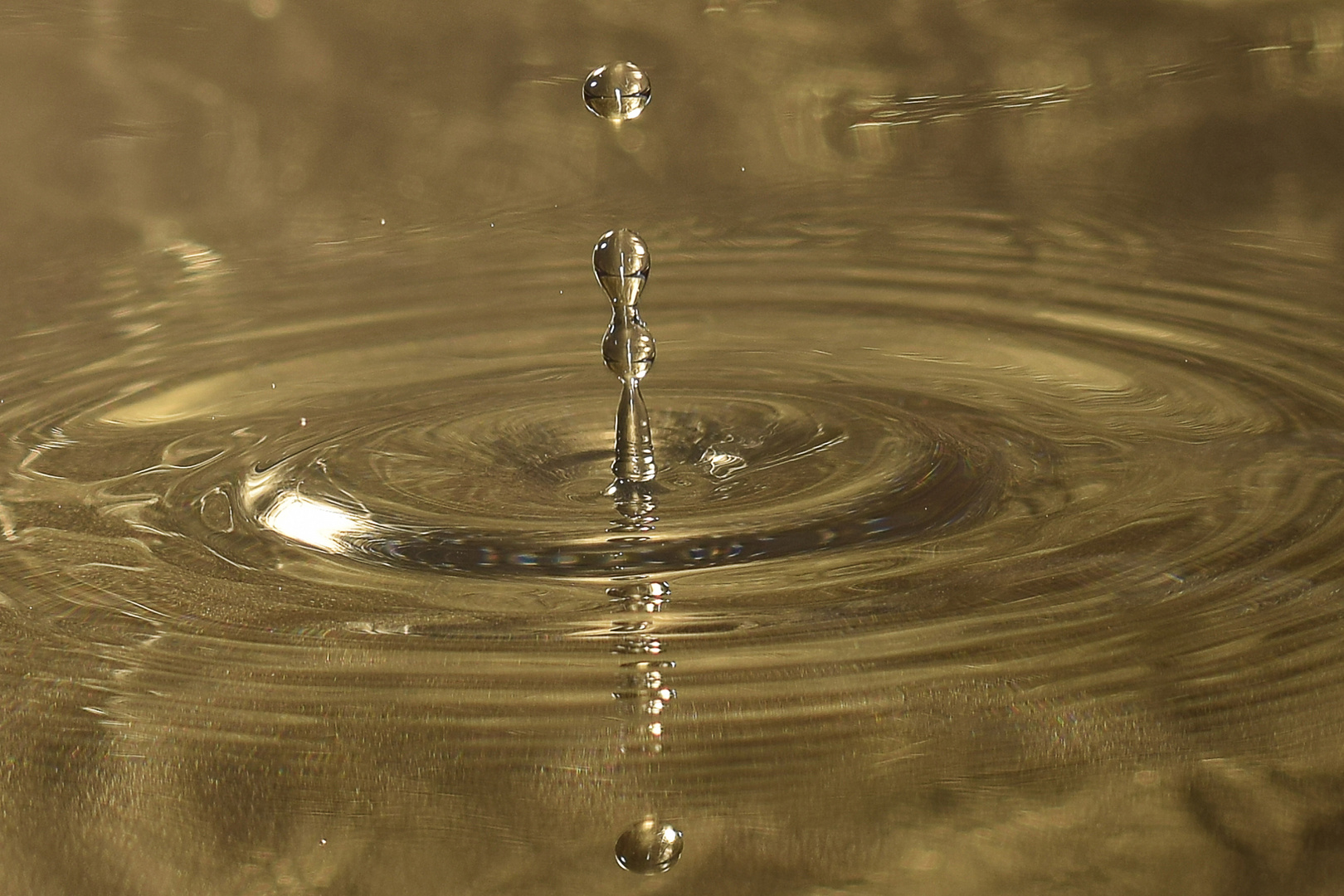 Splash-Foto-Gold