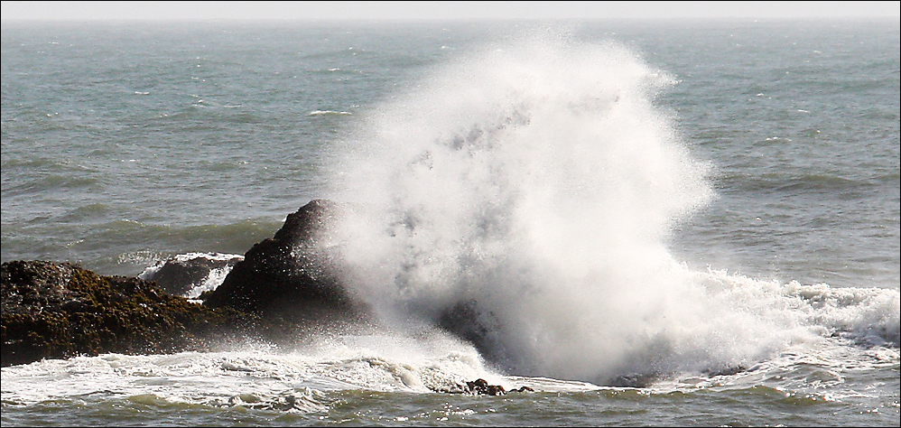 Splash in California