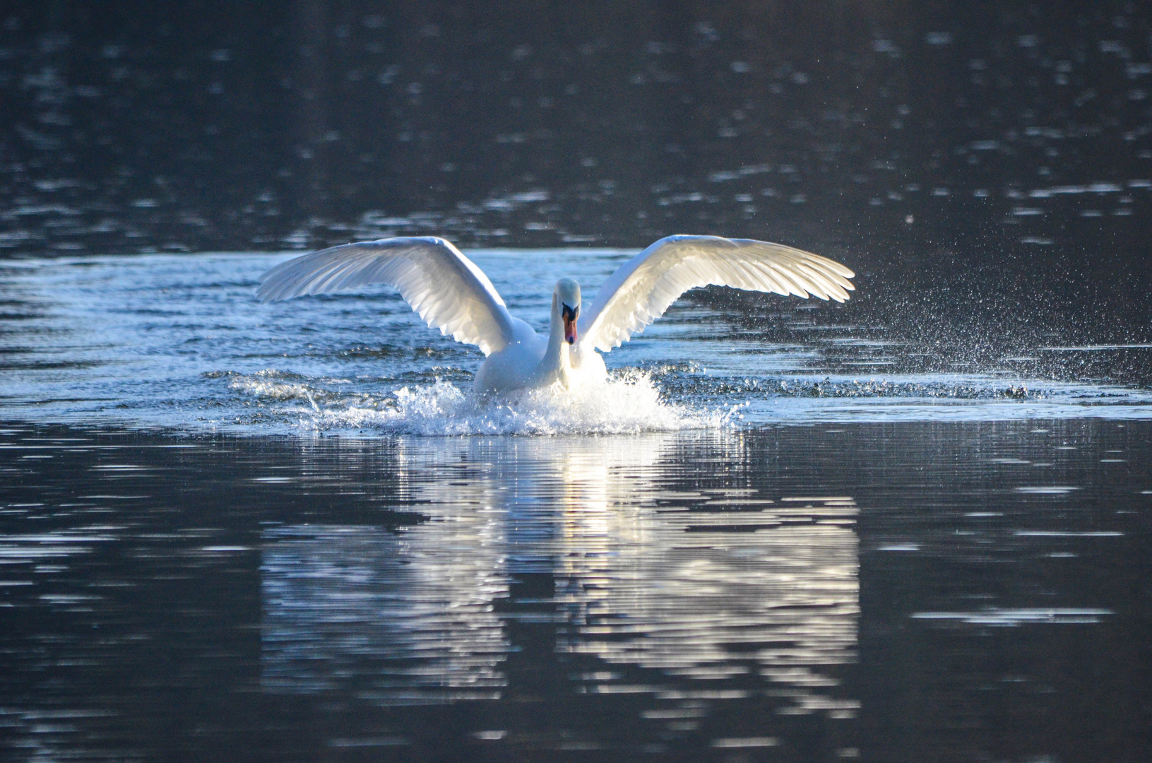 Splash Landing