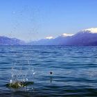 splash-Stein vor Alpenpanorama