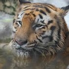 Splashing in water on a hot day