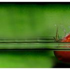 splashing tomate