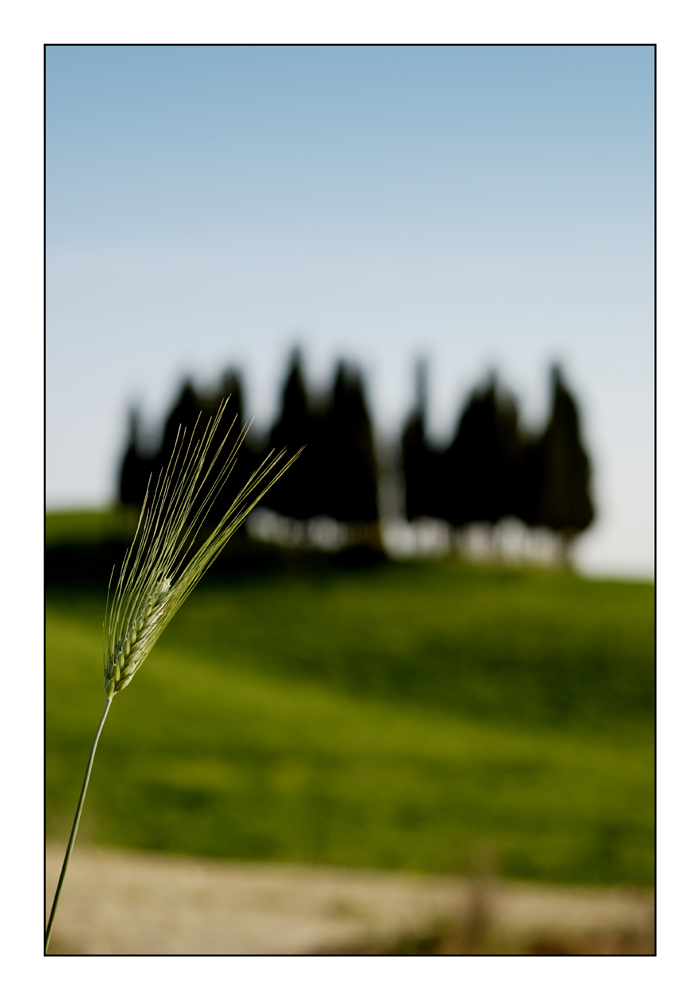 Splendida Val d'Orcia