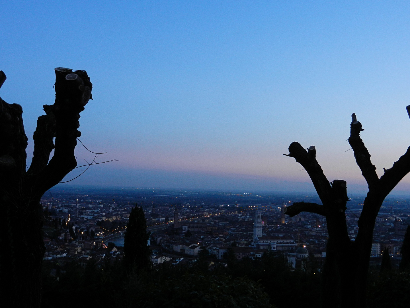 SPLENDIDA VERONA