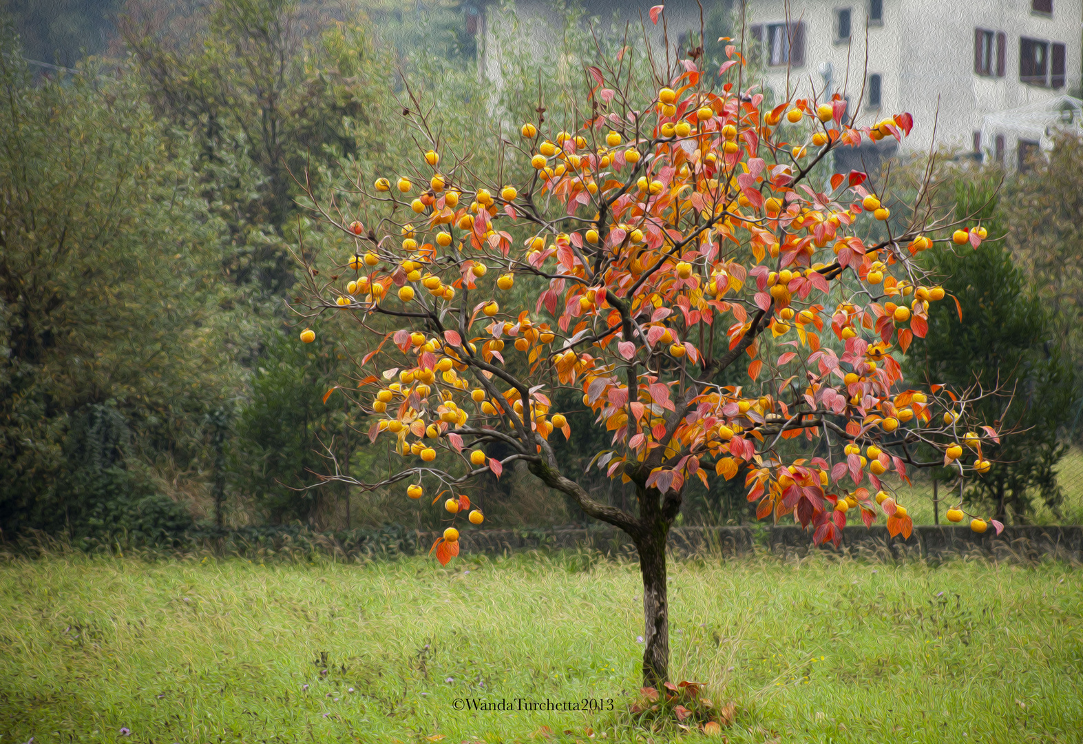 splendido autunno