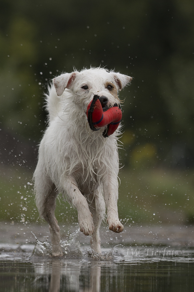 Splish Splash...