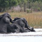 Splish , Splash , i am taking a bath