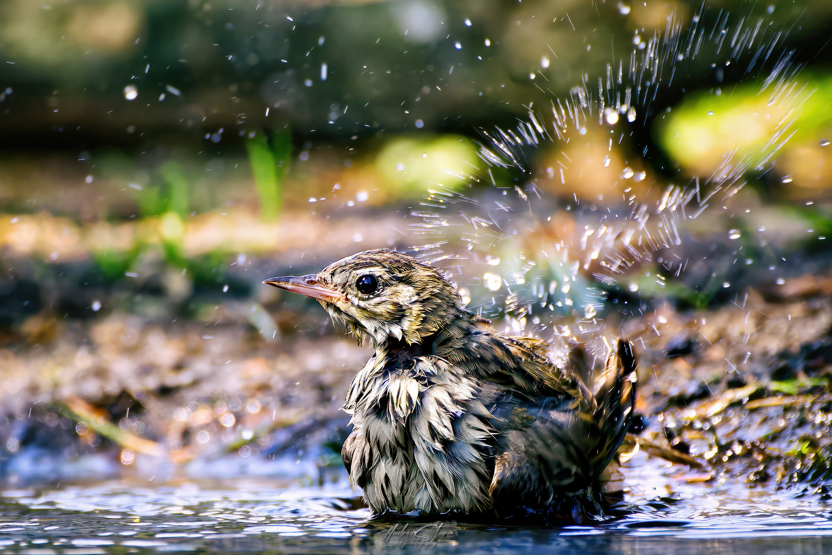 Splish splash, I was taking a bath ... :)