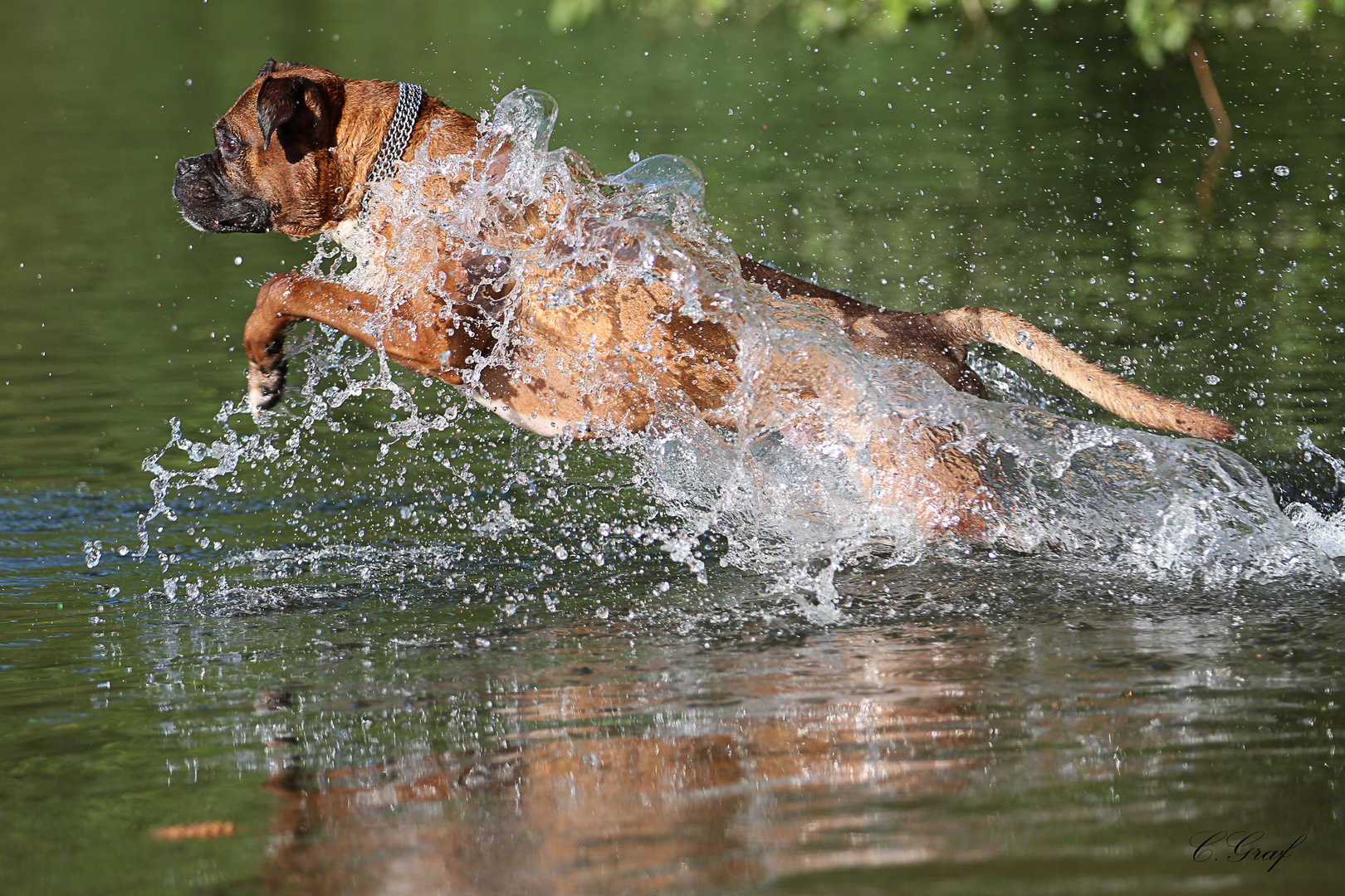 Splish Splash i was taking a bath...