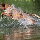 Splish Splash i was taking a bath...