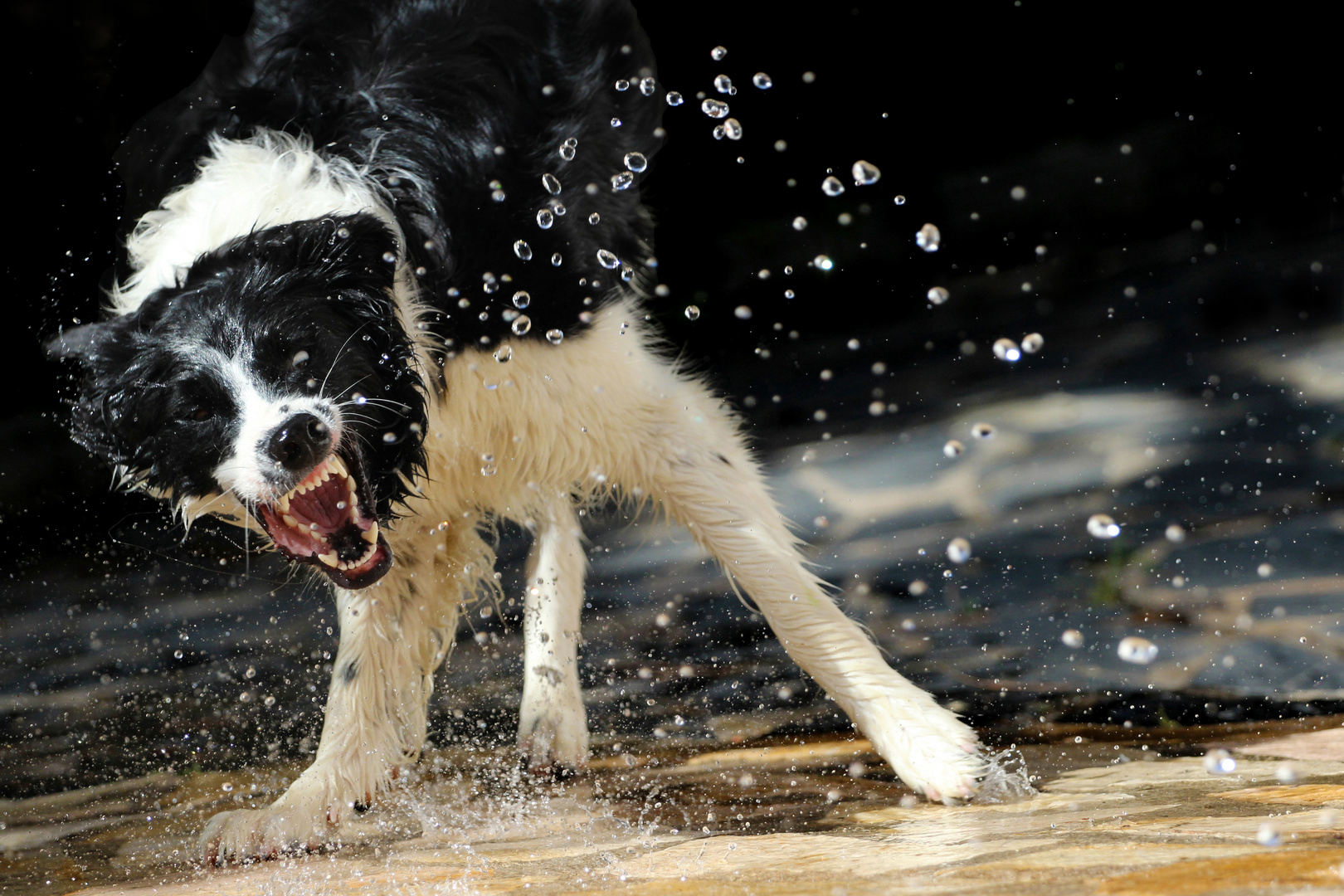 Splish splash I'm taking a bath