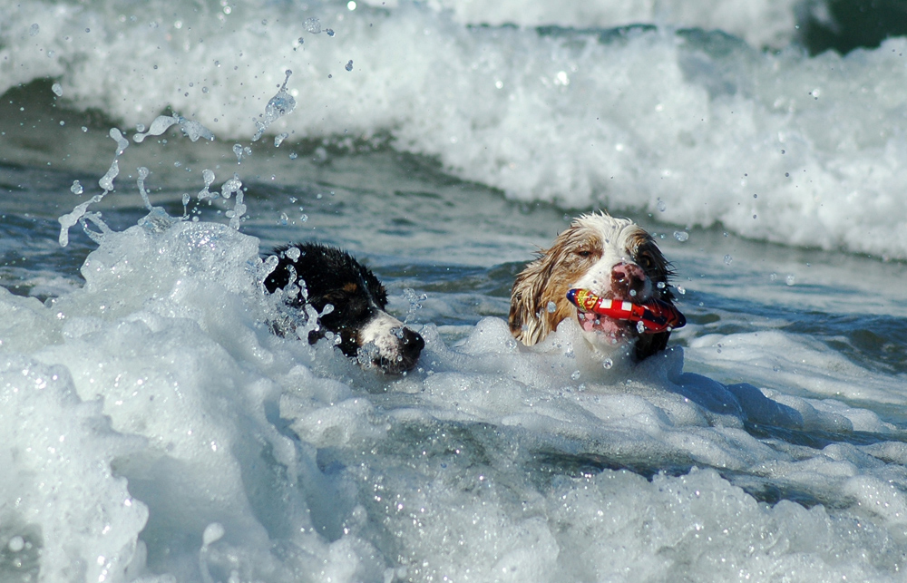 Splish splash we´re taking a bath!