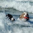 Splish splash we´re taking a bath!