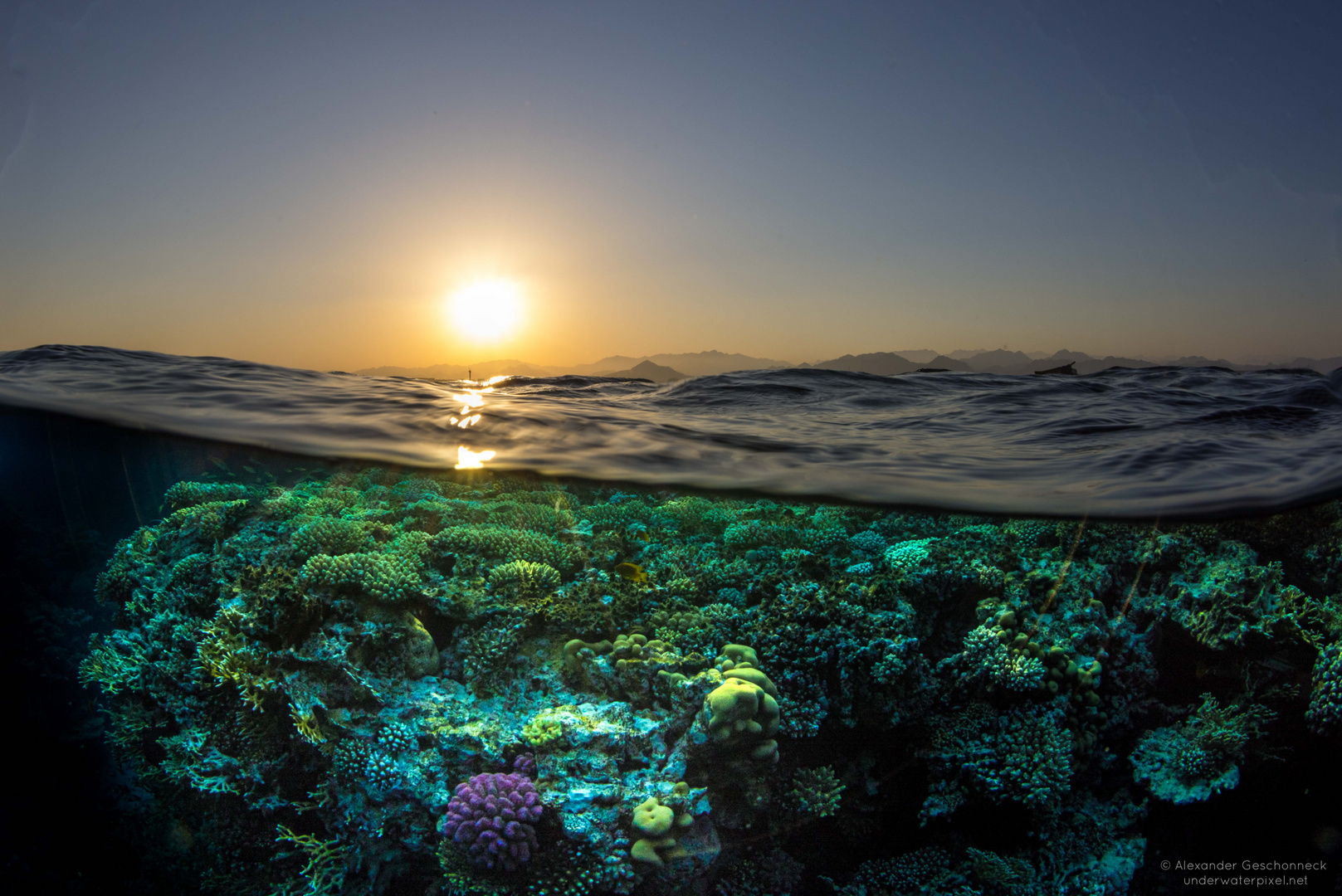 Split View of the Gordon Reef towards Sinai