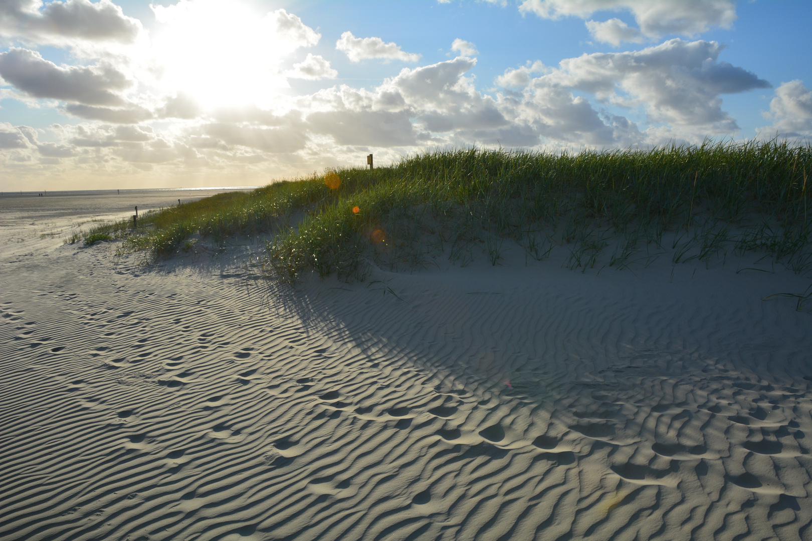 SPO - Spuren im Sand...