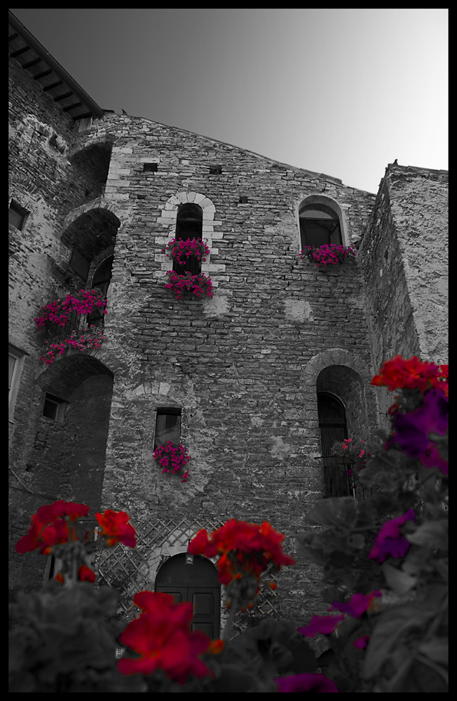 Spoleto - Scorcio fiorito