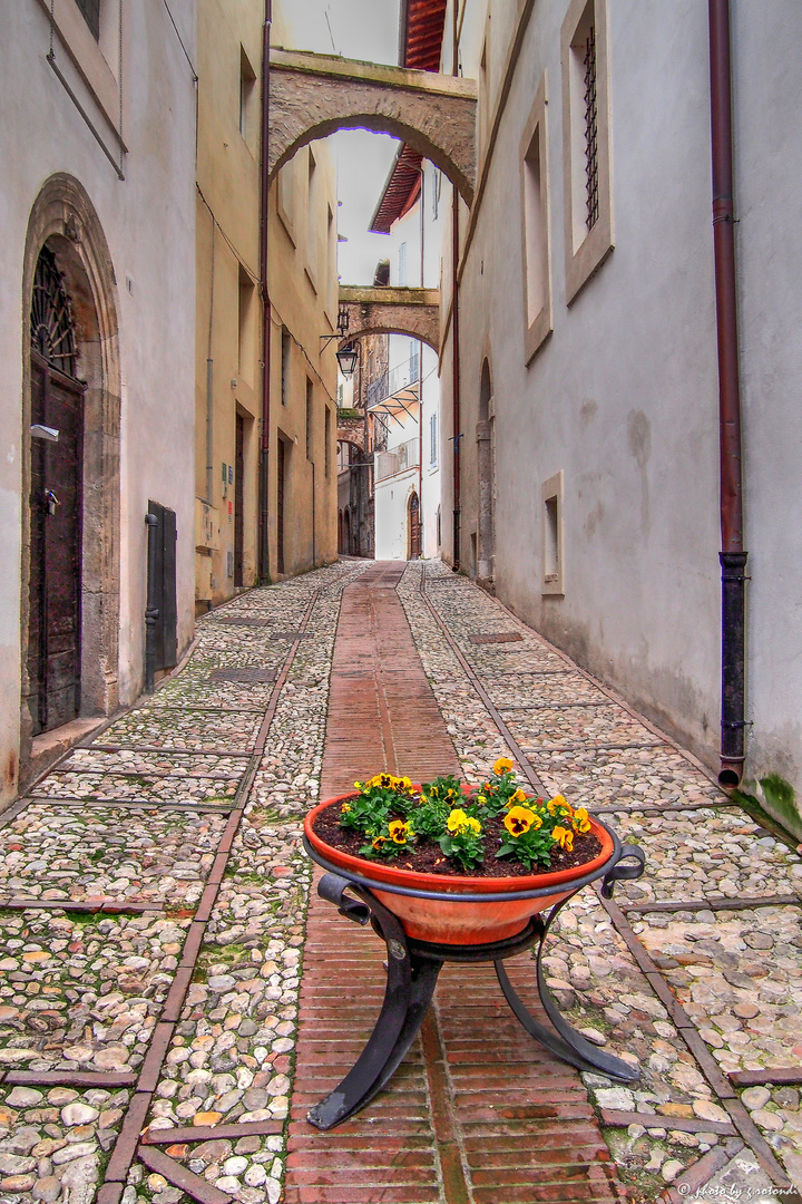 Spoleto - Via del Visiale