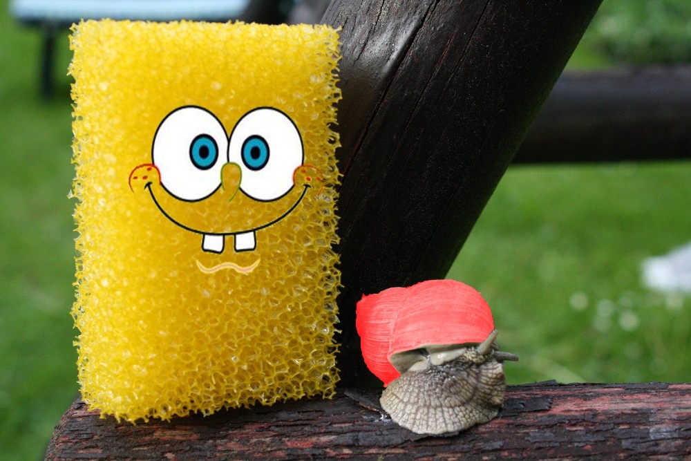 Spongebob und Gary