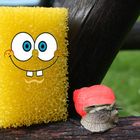 Spongebob und Gary