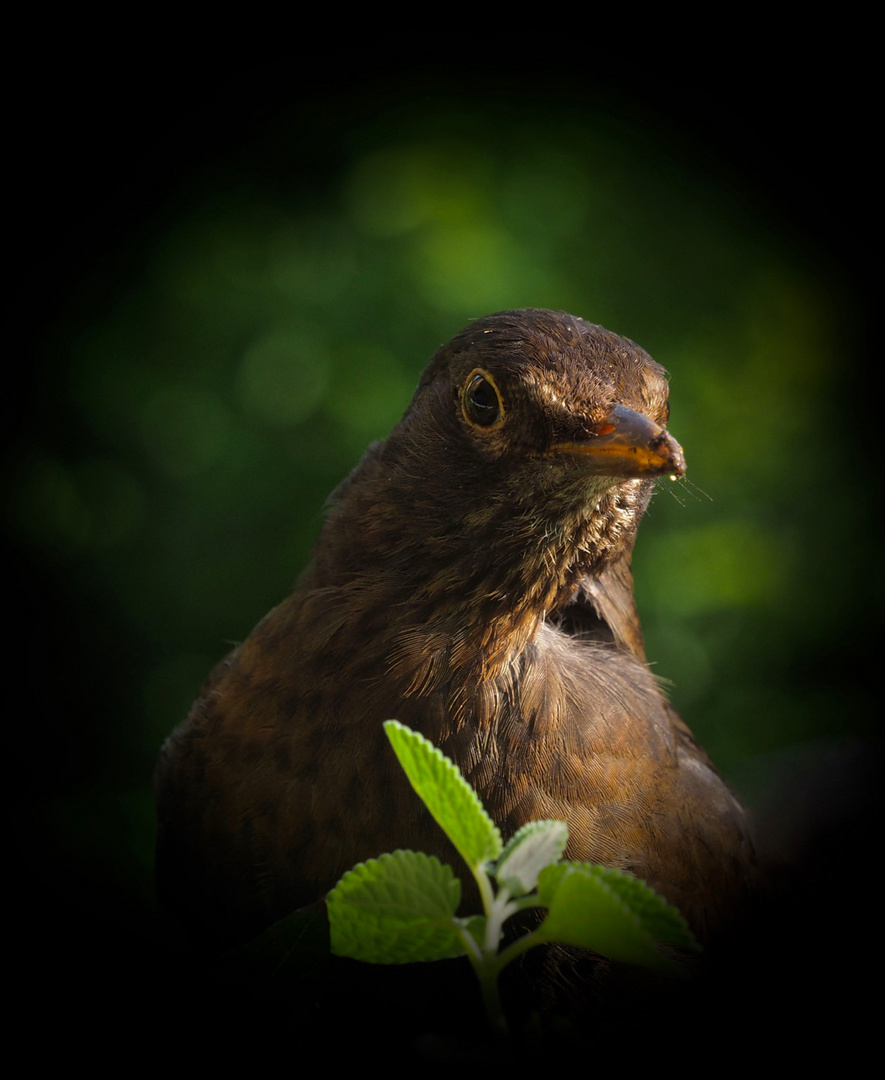 Spontaner Besuch (1)