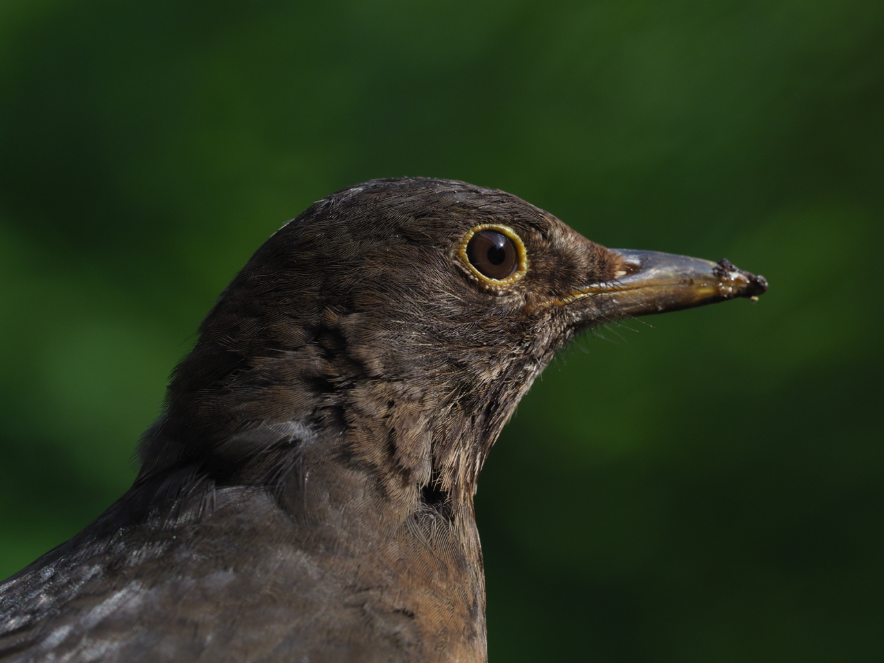 Spontaner Besuch (2)