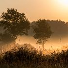 Spontaner Shot im Sonnenaufgang 